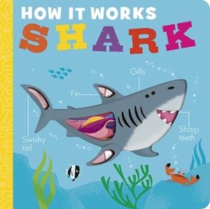 HOW IT WORKS: SHARK | 9781801046091 | MOLLY LITTLEBOY