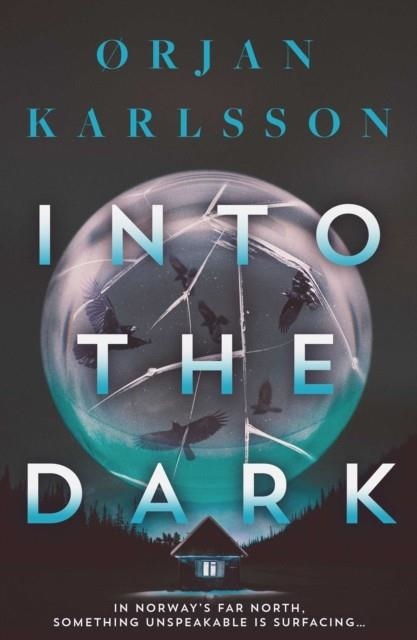 INTO THE DARK VOL 2 | 9781917764049 | ORJAN KARLSSON