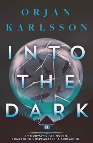 INTO THE DARK VOL 2 | 9781917764049 | ORJAN KARLSSON