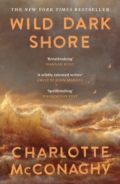 WILD DARK SHORE | 9781837265923 | CHARLOTTE MCCONAGHY