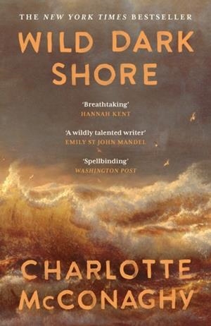 WILD DARK SHORE | 9781837265923 | CHARLOTTE MCCONAGHY