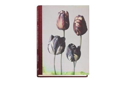 LES EXTRAVAGANTES | 9782365110518 | CLEMENT GILLES, BLOK LEENDERT