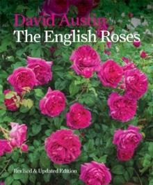 ENGLISH ROSES, THE | 9781840917512 | AUSTIN, DAVID
