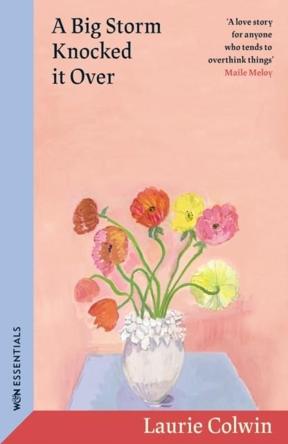 BIG STORM KNOCKED IT OVER, A | 9781399614429 | LAURIE COLWIN