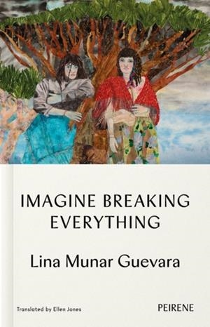 IMAGINE BREAKING EVERYTHING | 9781916806122