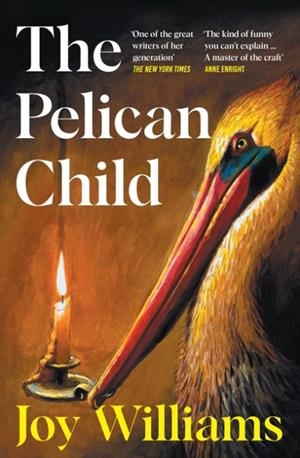 PELICAN CHILD, THE: LONGLISTED FOR THE 2025 NATIONAL BOOK AWARD | 9781805228578 | JOY WILLIAMS