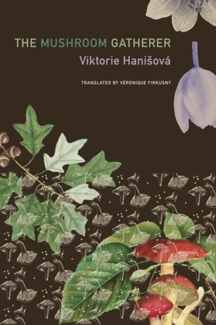 MUSHROOM GATHERER, THE | 9781803095691 | VIKTORIE HANISOVÁ