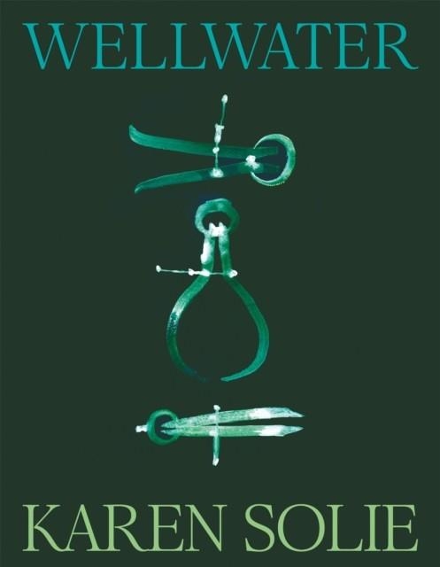 WELLWATER : WINNER OF THE FORWARD PRIZE FOR BEST COLLECTION | 9781035048182 | KAREN SOLIE