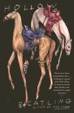 HOLLOW | 9781529366464 | BRIAN CATLING
