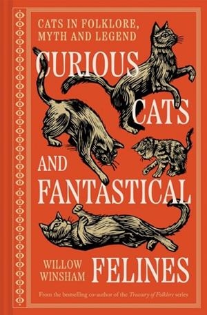 CURIOUS CATS AND FANTASTICAL FELINES | 9781849949736 | WILLOW WINSHAM