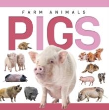 PIGS | 9798894710778 | SADIE HALLWORTH
