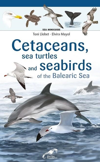 CETACEANS SEA TURTLES AND SEABIRDS ON THE BALEARIC SEA | 9788413562759 | ELVIRA MAYOL