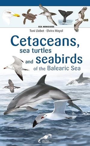 CETACEANS SEA TURTLES AND SEABIRDS ON THE BALEARIC SEA | 9788413562759 | ELVIRA MAYOL