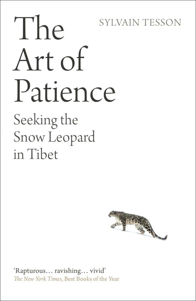 THE ART OF PATIENCE : SEEKING THE SNOW LEOPARD IN TIBET | 9780861543083 | SULVAIN TESSON
