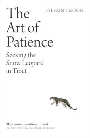 THE ART OF PATIENCE : SEEKING THE SNOW LEOPARD IN TIBET | 9780861543083 | SULVAIN TESSON