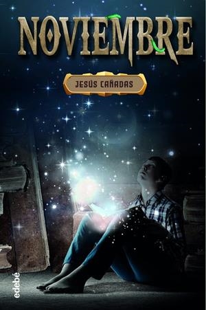 NOVIEMBRE | 9788468363837