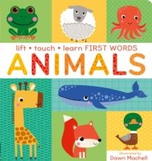 LIFT, TOUCH LEARN FIRST WORDS: ANIMALS | 9781838919818 | VILLETTA CRAVEN