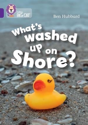 WHAT'S WASHED UP ON SHORE?-NON-FICTION-PURPLE - BAND 8 | 9780008754037 | BEN HUBBARD