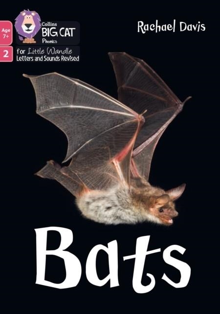BATS (PHASE 2 SET 5)-NON-FICTION-7+ READERS | 9780008758080