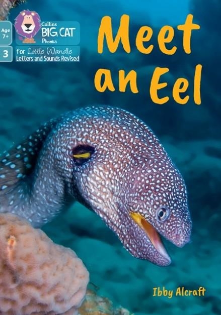 MEET AN EEL (PHASE 3 SET 1 - BLENDING PRACTICE)-NON-FICTION-7+ READERS | 9780008758127