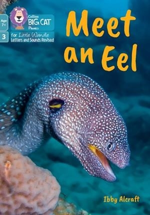 MEET AN EEL (PHASE 3 SET 1 - BLENDING PRACTICE)-NON-FICTION-7+ READERS | 9780008758127