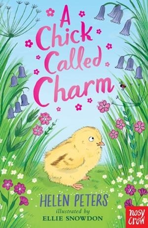 A CHICK CALLED CHARM | 9781839948763 | HELEN PETERS