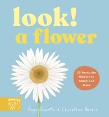 LOOK! A FLOWER | 9781917366632 | ANYA SEROTA