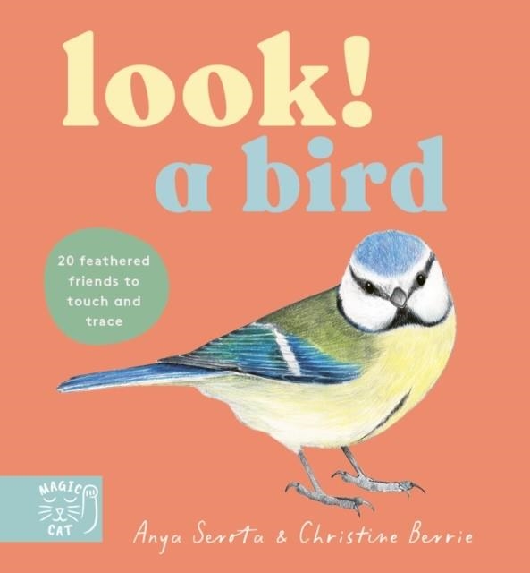 LOOK! A BIRD | 9781917044622 | ANYA SEROTA