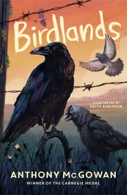 BIRDLANDS | 9781836431800 | ANTHONY MCGOWAN