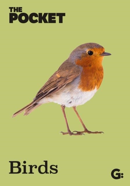 THE POCKET BIRDS | 9781802473018
