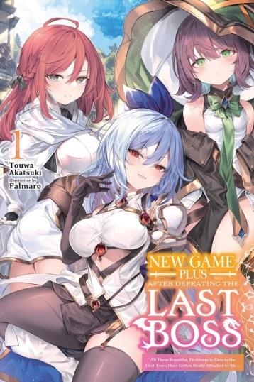 NEW GAME PLUS AFTER DEFEATING THE LAST BOSS, VOL. 1 (LIGHT NOVEL) | 9798855409246 | FALMARO