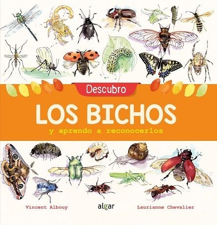 DESCUBRO LOS BICHOS Y APRENDO | 9788491422969