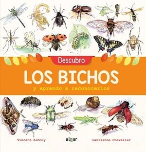 DESCUBRO LOS BICHOS Y APRENDO | 9788491422969