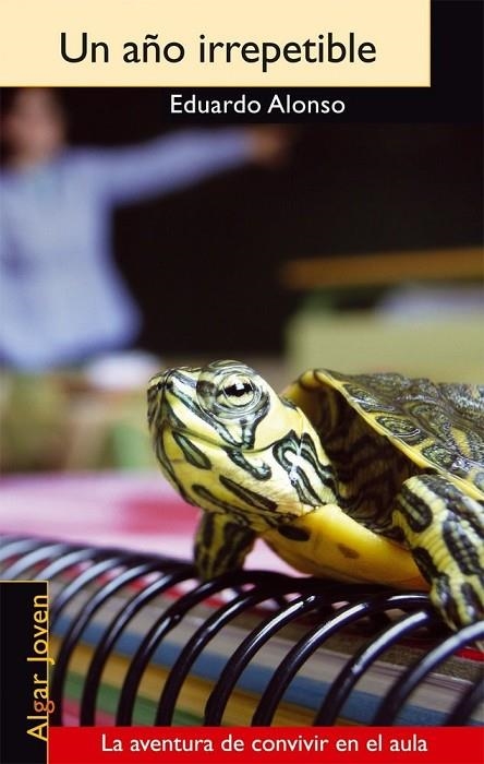 UN AÑO IRREPETIBLE | 9788496514720