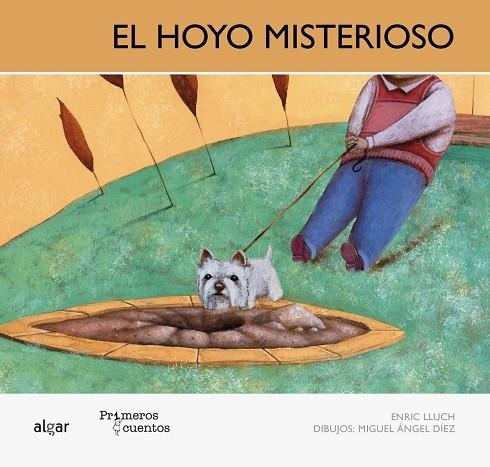 EL HOYO MISTERIOSO-MAYÚSCULA | 9788498452990