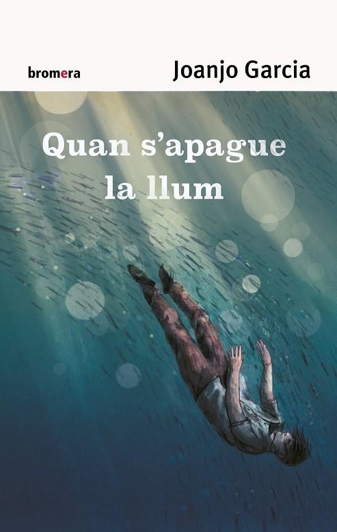 QUAN S’APAGUE LA LLUM | 9788490263891 | JOANJO GARCIA NAVARRO