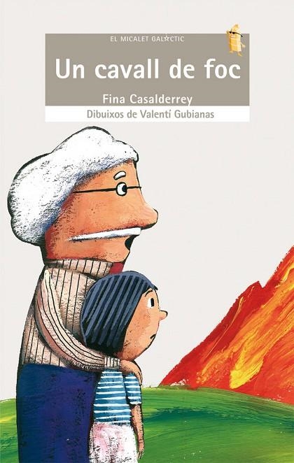 UN CAVALL DE FOC | 9788498242515 | FINA CASALDERREY