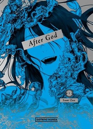 AFTER GOD 1 (SHÔNEN) | 9788419819314 | SUMI ENO