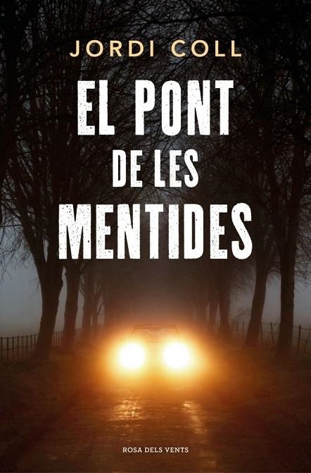 EL PONT DE LES MENTIDES | 9791387653767 | JORDI COLL