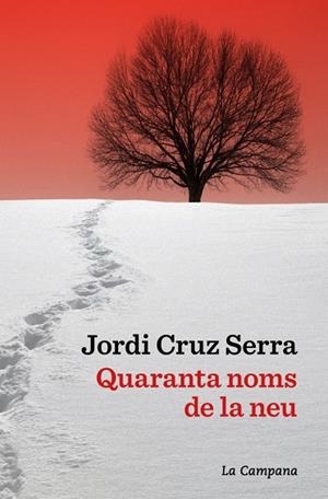 QUARANTA NOMS DE LA NEU | 9791387564063 | JORDI CRUZ SERRA