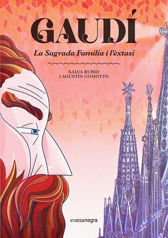 GAUDÍ. LA SAGRADA FAMÍLIA IL'ÈXTASI | 9791387969219 | SALVA RUBIO