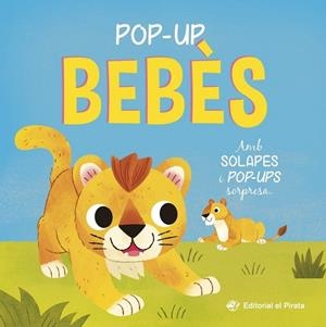 POP-UP BEBÈS - CATALÀ | 9788419912527 | CARLY BLAKE