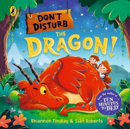DON'T DISTURB THE DRAGON | 9780241766798 | RHIANNON FINDLAY
