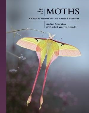 THE LIVES OF MOTHS : A NATURAL HISTORY OF OUR PLANET'S MOTH LIFE | 9780691228563 | ANDREI SOURAKOV