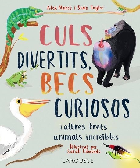 CULS DIVERTITS, BECS CURIOSOS | 9788419436016
