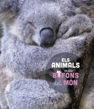 ELS ANIMALS MÉS BUFONS DEL MÓN | 9788419436184