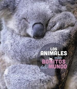 LOS ANIMALES MÁS BONITOS DEL MUNDO | 9788419436177