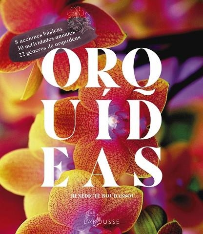 ORQUÍDEAS | 9788418882470