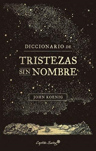 DICCIONARIO DE TRISTEZAS SIN NOMBRE | 9791399105940 | JOHN KOENIG