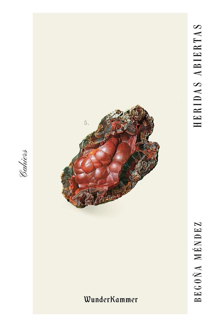 HERIDAS ABIERTAS | 9788494972591